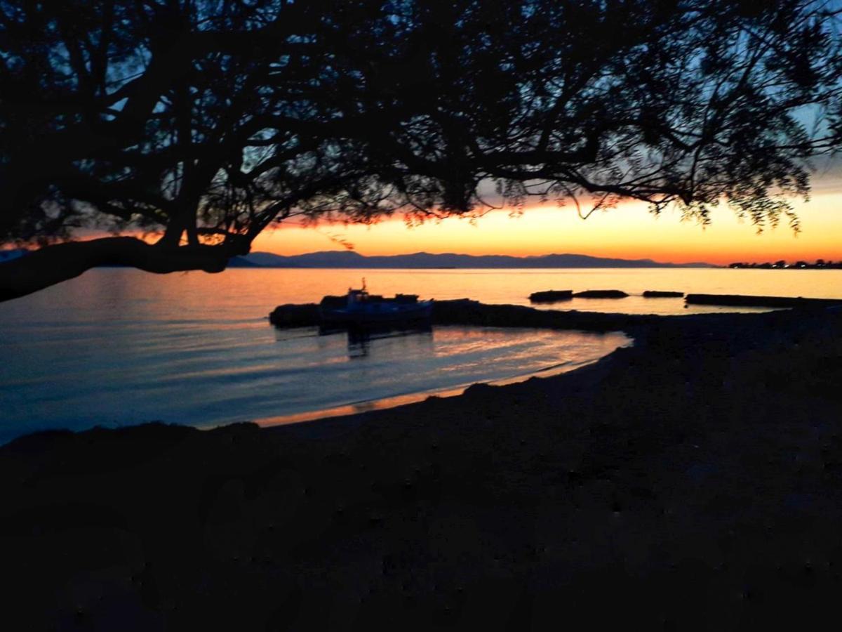 Elegant New Maisonette Near The Sea Aegina Luaran gambar